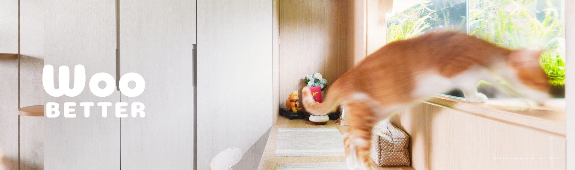 【NO.233豐邑菁科城】雙倍可愛！小倆口的專屬貓宅🐈